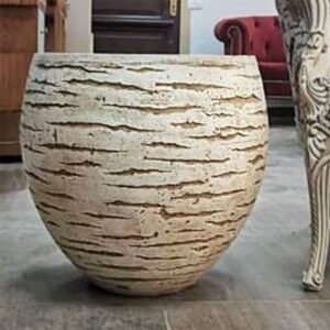 وعاء بسمة للزراعة
