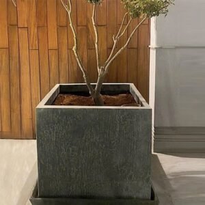 إناء غراس غرزة