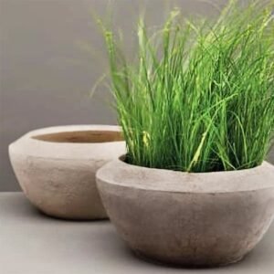 وعاء غراس موحل