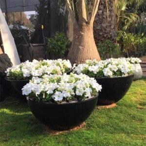 إناء زهور دورماد دورماد