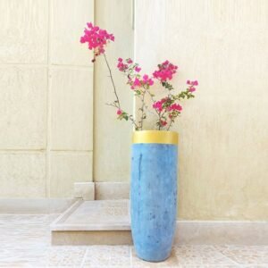 وعاء زارع سيرا