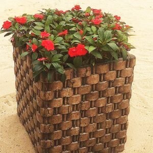 وعاء سلة النباتات