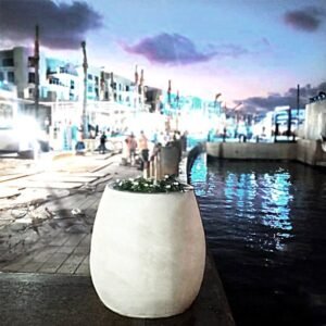 وعاء ريونا لزراعة النباتات