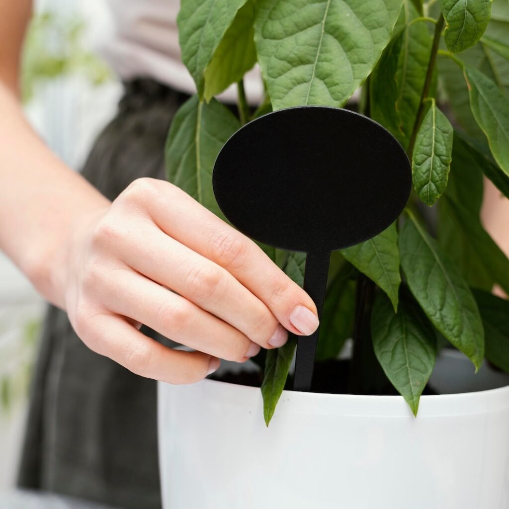 white planter pots