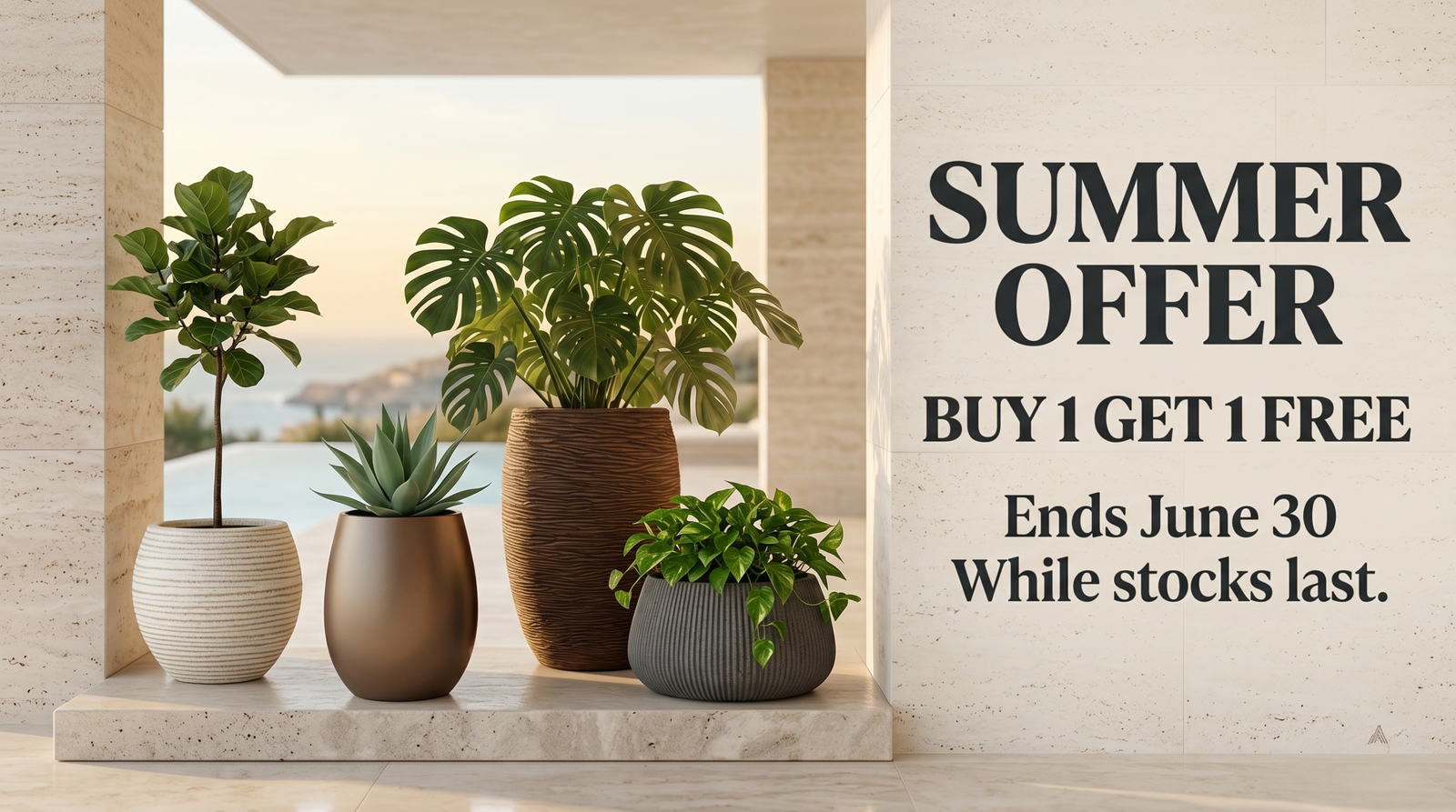Exclusive Offers